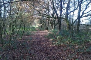 Wandelen over het Duits Lijntje